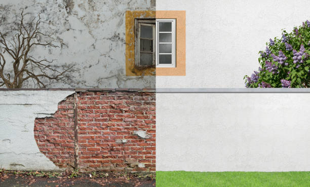 Best Black Mold Removal  in Doral, FL